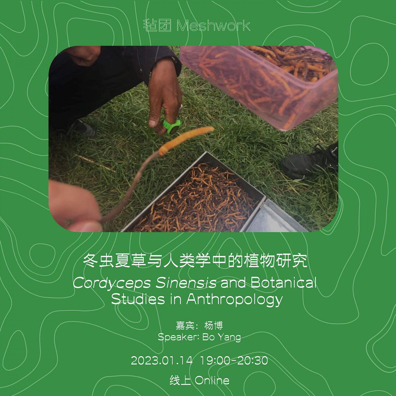 Cordyceps Sinensis and Botanical Studies in Anthropology
