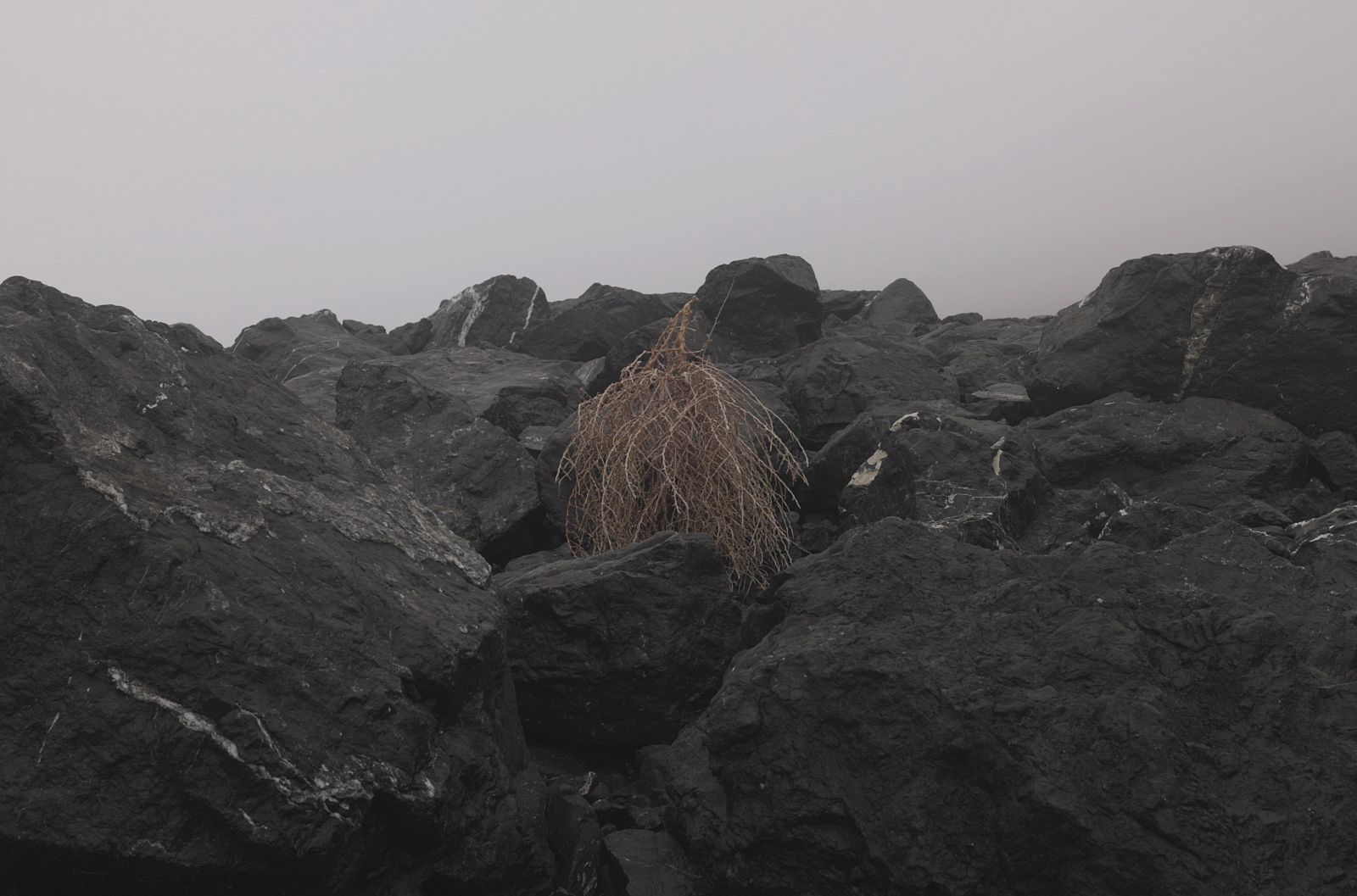 Liu Wa & Yang Bao: Late Night Savage