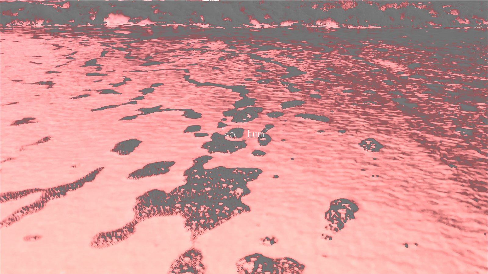 Zheng Ke and Tan Jing: so hum